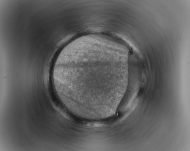 X0000086930492200705141745