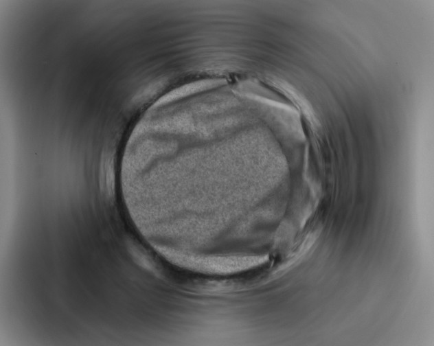 X0000086930493200705141745