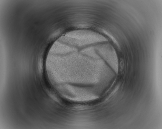 X0000086930494200705141745