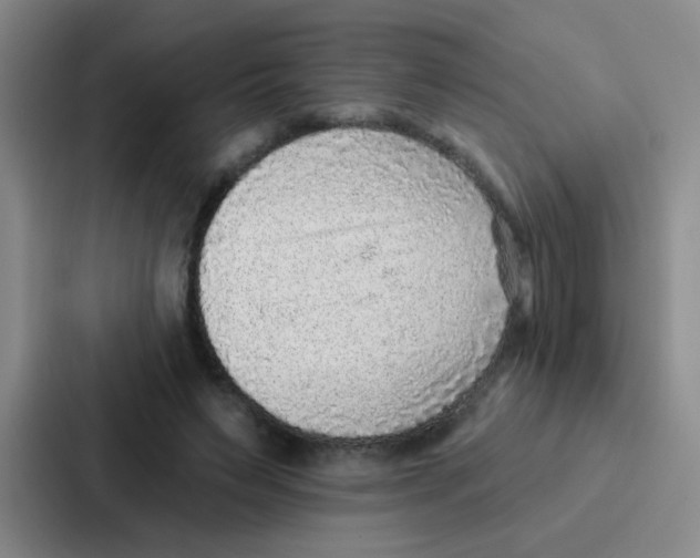 X0000086930495200705141745