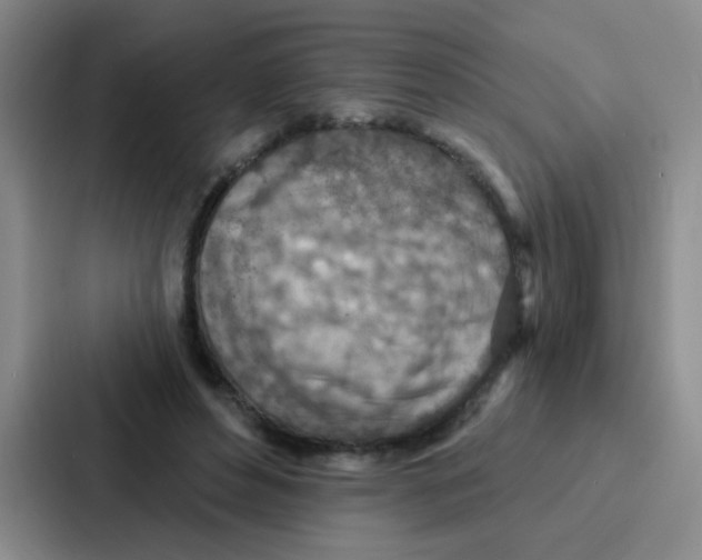 X0000086930496200705141745