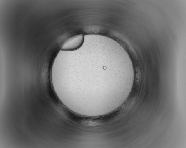 X0000086930498200705141745