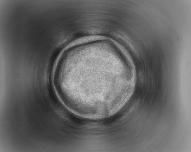 X0000086930499200705141745