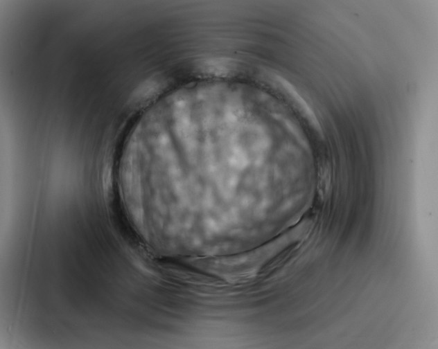 X0000086930500200705141745