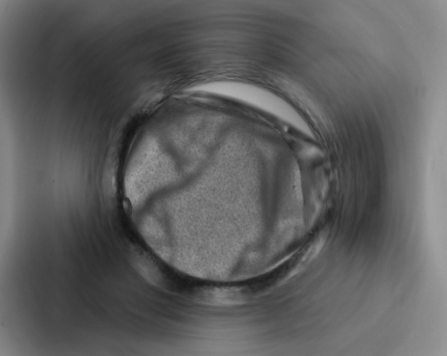 X0000086930501200705141745