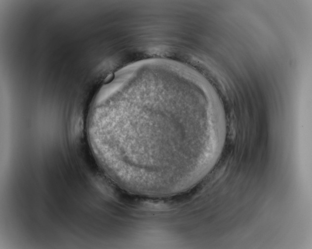 X0000086930502200705141745