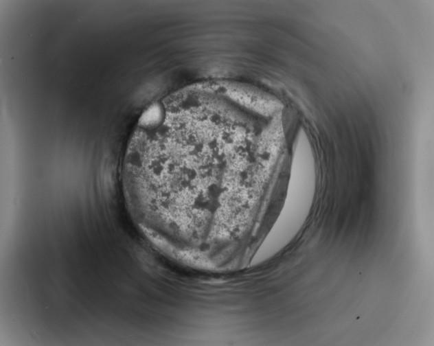 X0000086930503200705141745