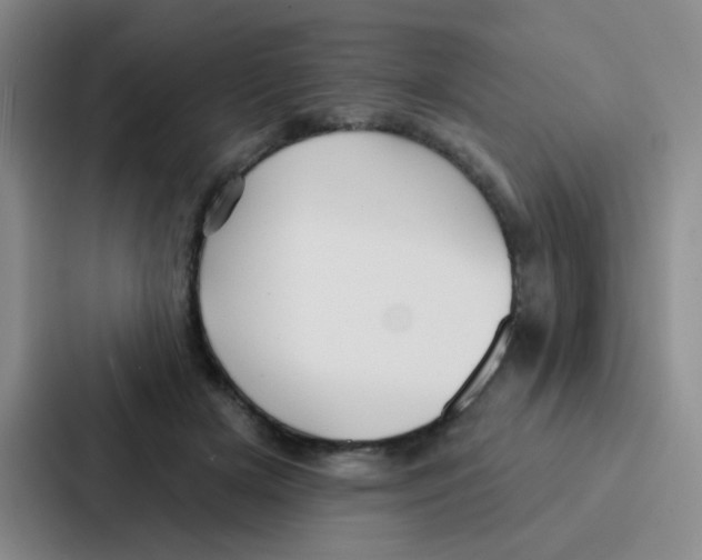 X0000086930505200705141745