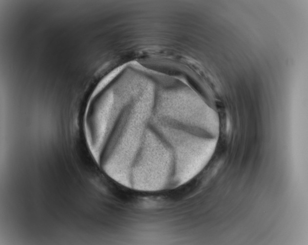 X0000086930508200705141745