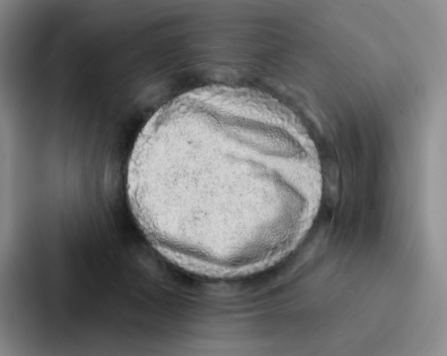 X0000086930511200705141745