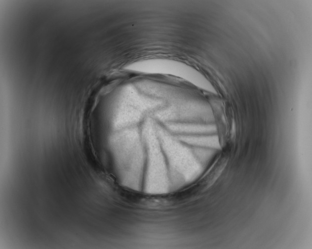 X0000086930512200705141745