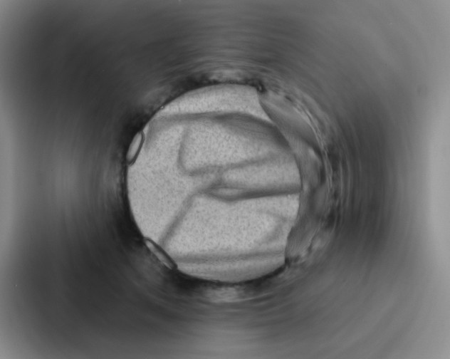 X0000086930513200705141745