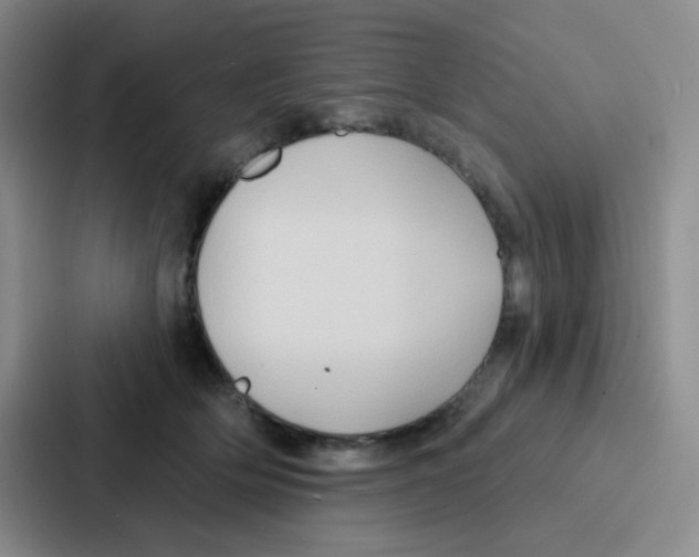 X0000086930514200705141745