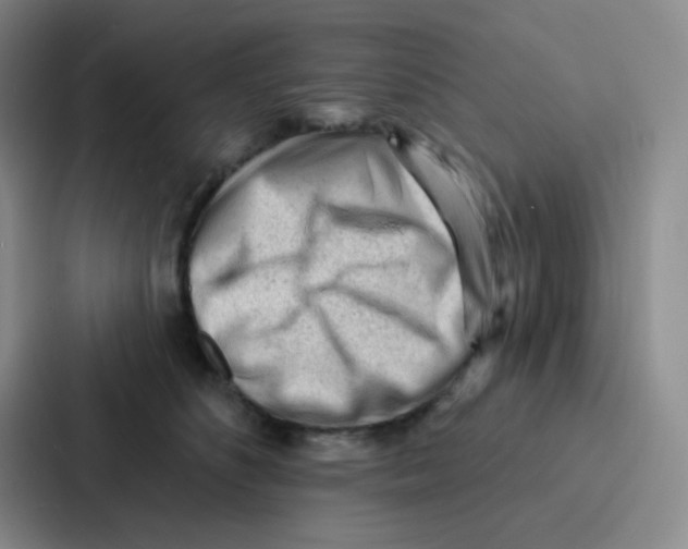 X0000086930516200705141745