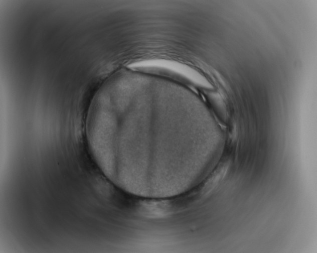 X0000086930517200705141745