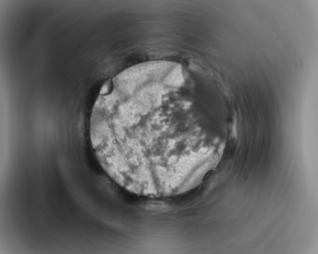 X0000086930519200705141745