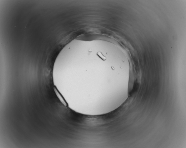 X0000086930521200705141745