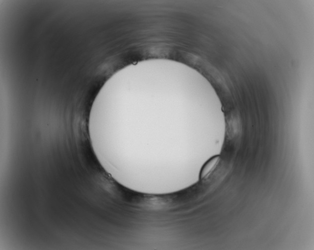 X0000086930522200705141745