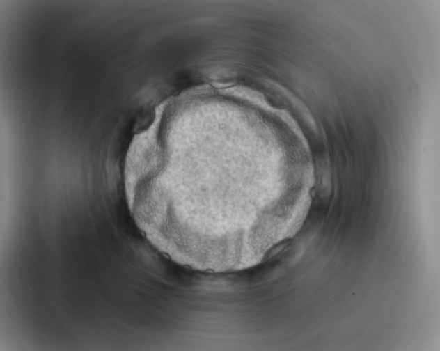 X0000086930523200705141745