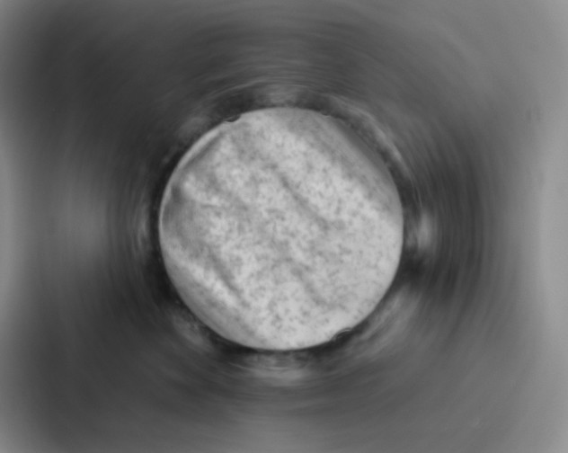 X0000086930524200705141745