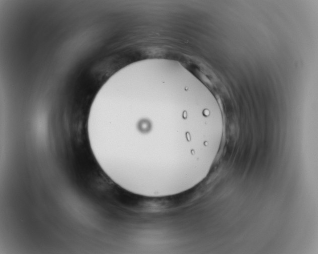 X0000086930525200705141745