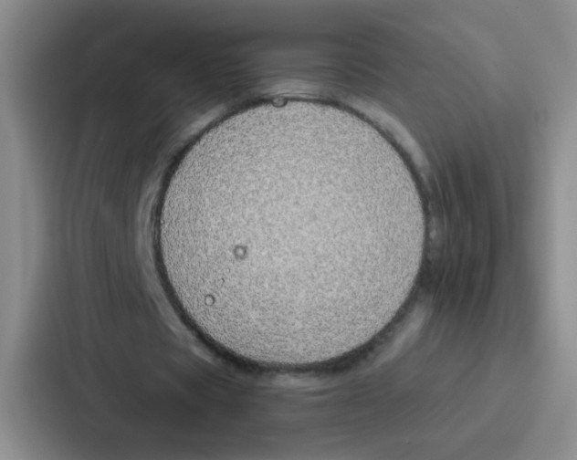 X0000086930529200705141744