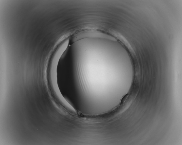 X0000086930530200705141744