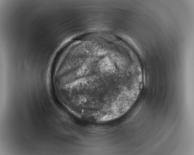 X0000086930531200705141744