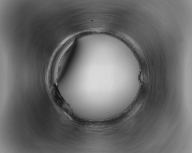 X0000086930532200705141744