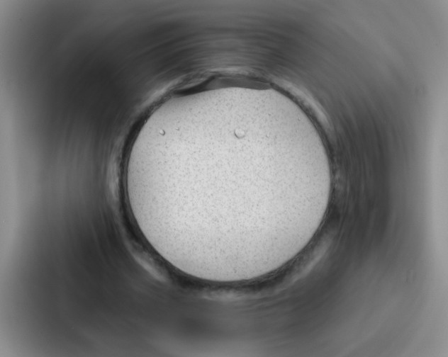 X0000086930533200705141744