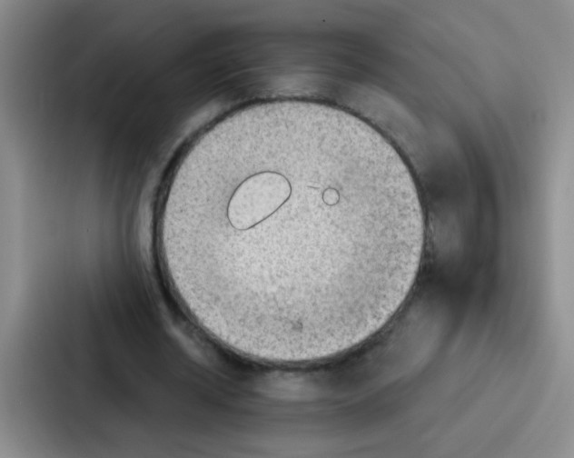 X0000086930534200705141744