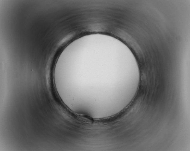 X0000086930535200705141744