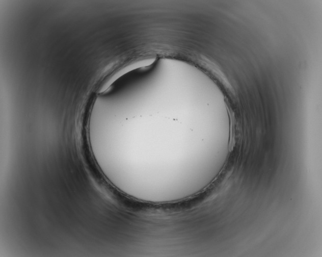 X0000086930538200705141744