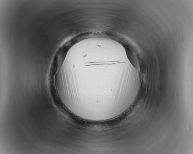 X0000086930540200705141744