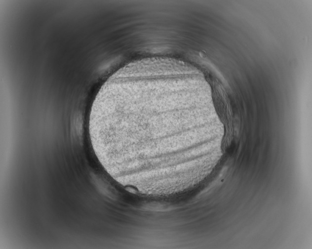 X0000086930542200705141744