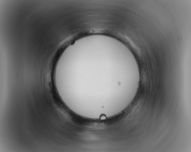 X0000086930543200705141744