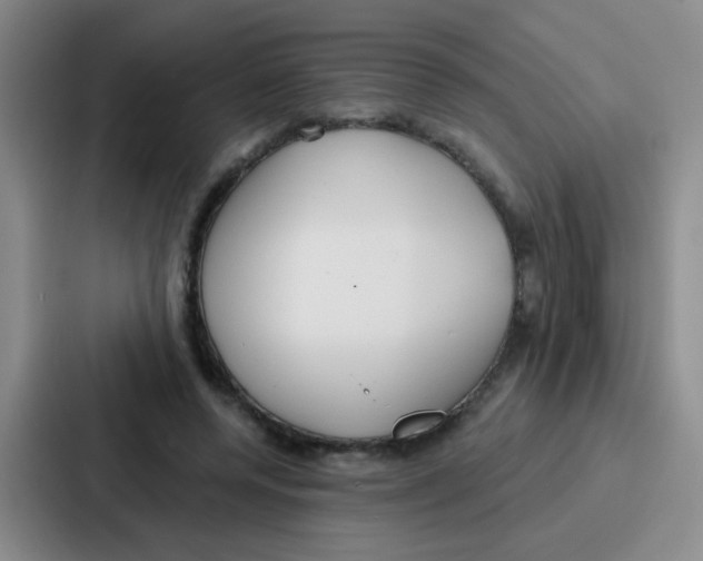 X0000086930544200705141744