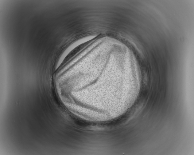 X0000086930545200705141744