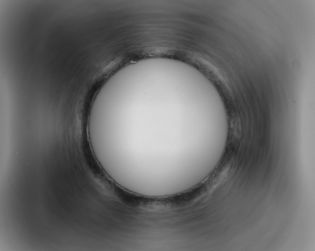 X0000086930546200705141744