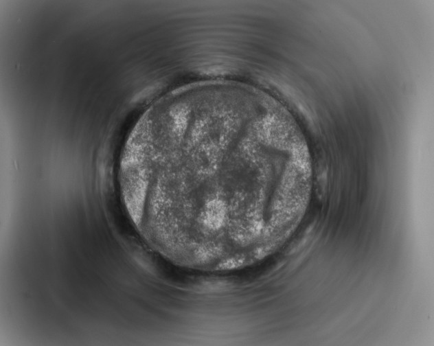 X0000086930547200705141744