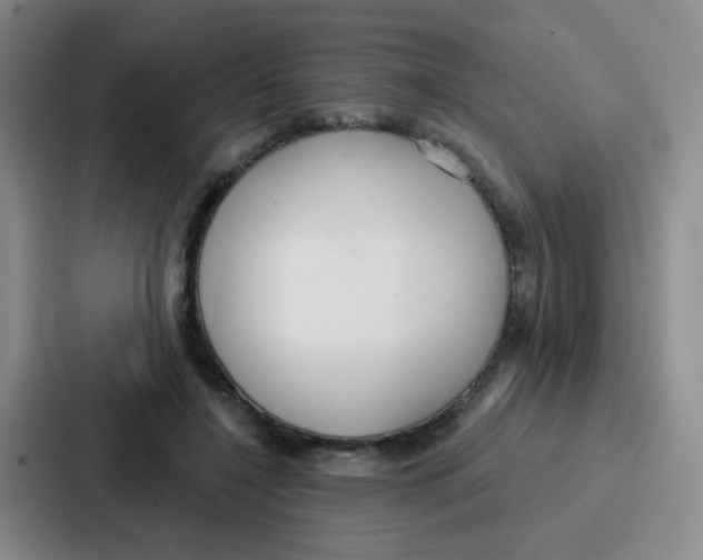 X0000086930548200705141744