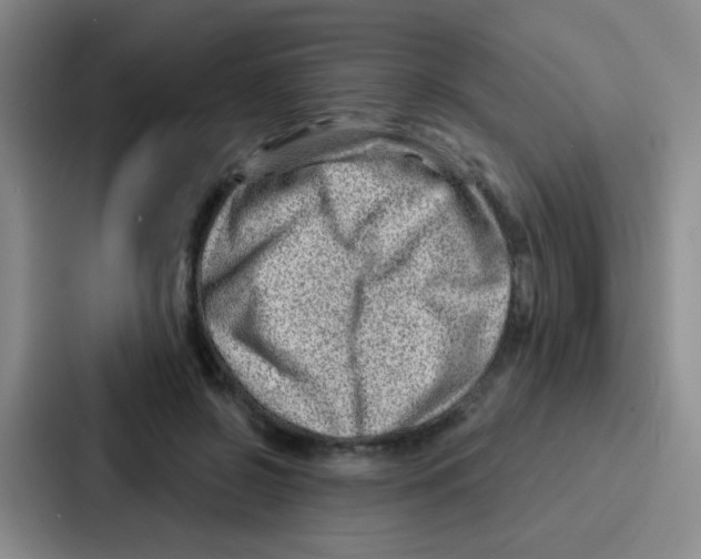 X0000086930550200705141744