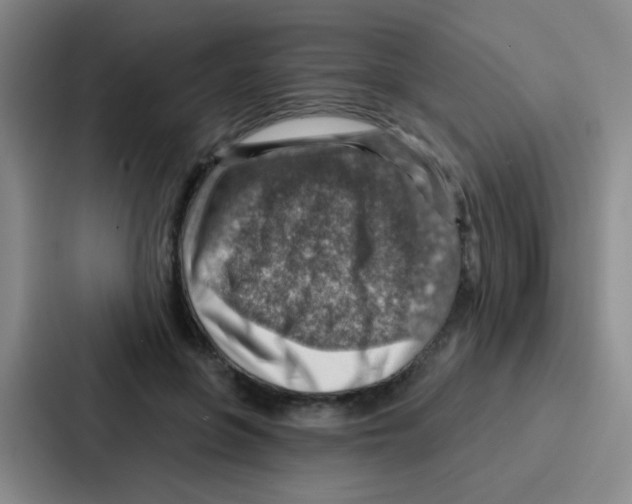 X0000086930551200705141744