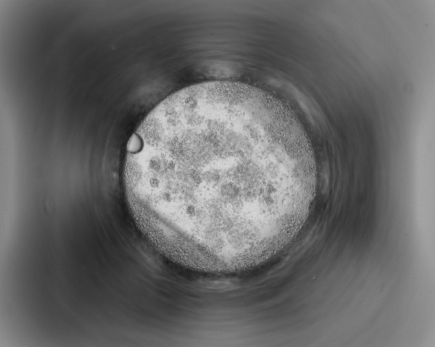 X0000086930553200705141744