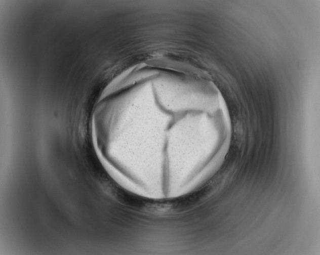 X0000086930554200705141744