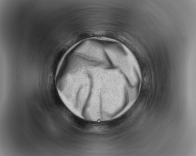 X0000086930555200705141744