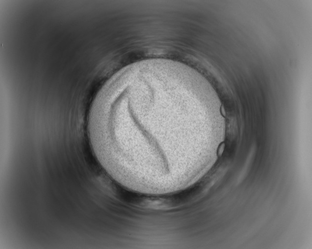 X0000086930557200705141744