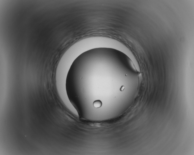 X0000086930558200705141744