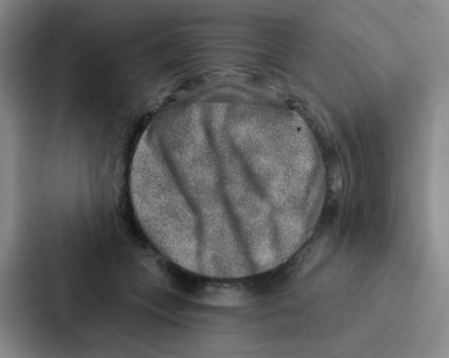 X0000086930559200705141744