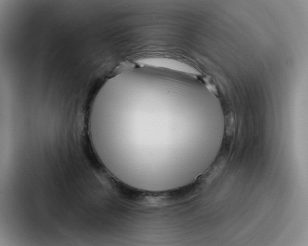 X0000086930560200705141744